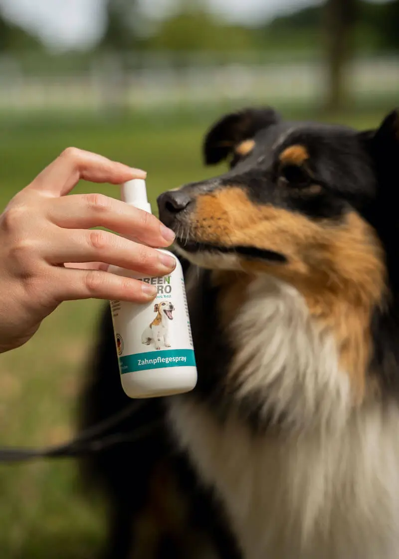 Zahnpflegespray gegen Maulgeruch